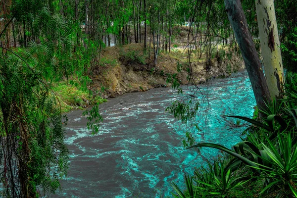 Nehir. Ağaçların yanındaki açık mavi nehir.