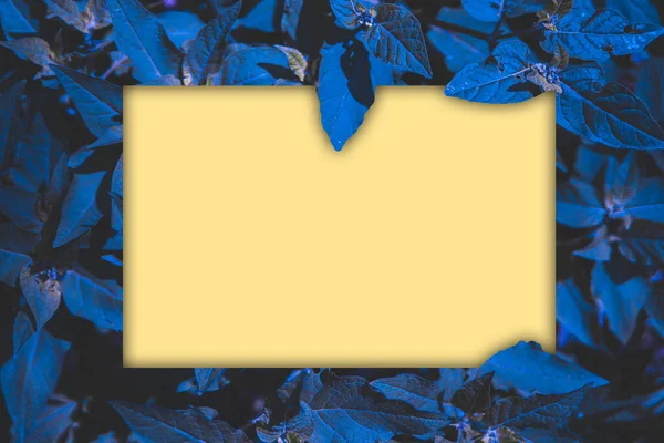 Yaprak çerçevesi, ortasında boşluk olan, metin veya resim yerleştirmek için