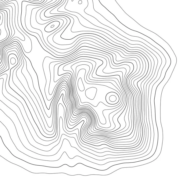Фоновый Фон Топографических Карт Абстрактная Иллюстрация Вектор — стоковый вектор