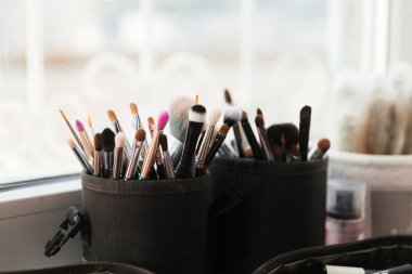 Profesyonel Makyaj Fırçaları