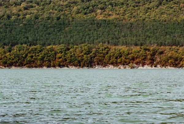 Horizontal lines formed with various types of trees on the mountainside and with the surface of the lake at the foot of the mountain