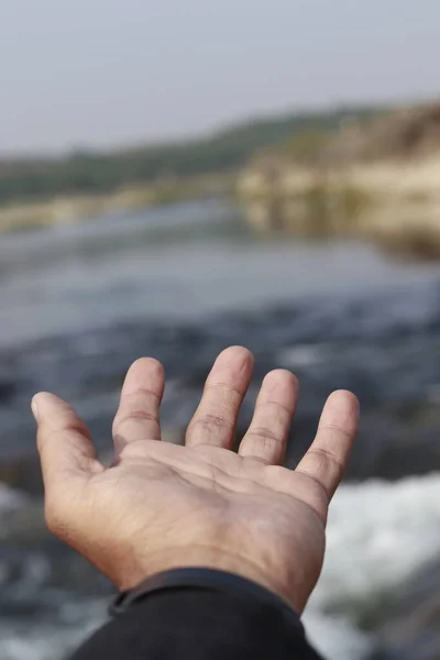 Nehir suyunda yaprak tutan bir adam.