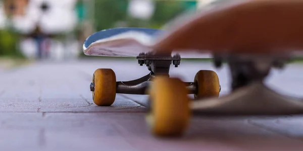 庭階のスケートボード — ストック写真