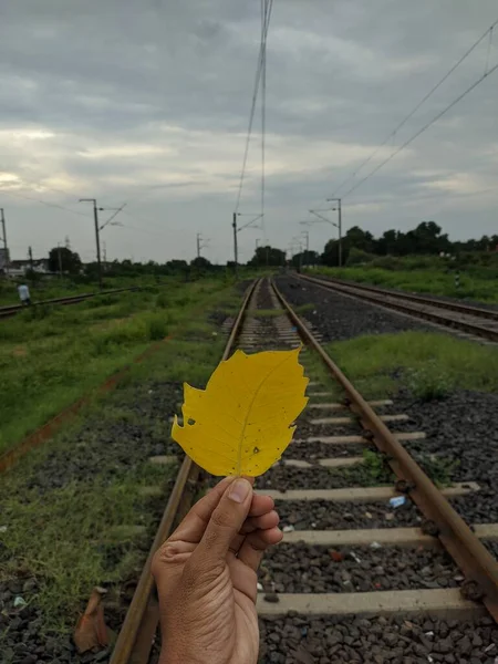 Demiryolu geçmişine sahip sarı yaprak