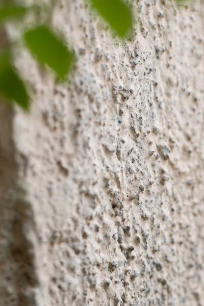 Pis ve pürüzsüz beton duvar.