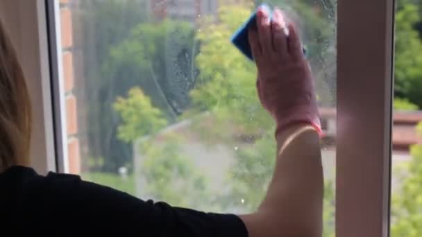 Dziewczyna myje okna gąbką z pianką. usługi sprzątania — Wideo stockowe