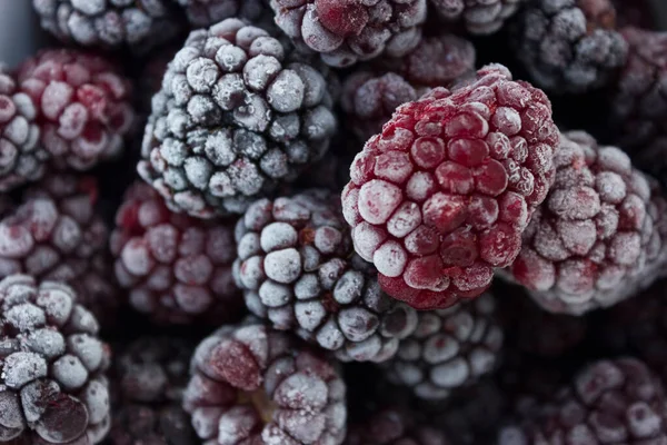 冷冻食品 冷冻黑莓 冷冻浆果 冰冻黑莓特写 — 图库照片