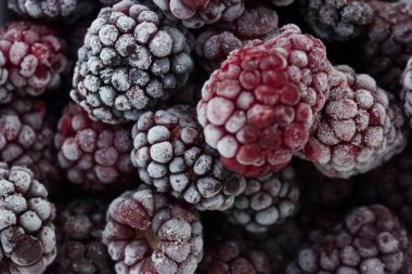 Donmuş yiyecek, donmuş böğürtlen, donmuş böğürtlen. Donmuş Blackberry Yakın Çekimi.