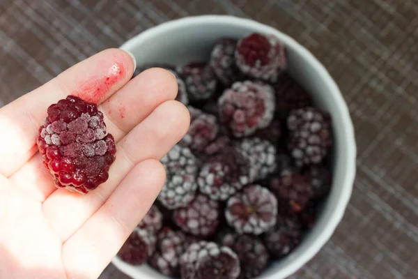 Fryst Mat Frysta Björnbär Frysta Bär Björnbär Frysta Närbild — Stockfoto