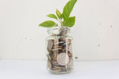Cam bir kavanozun içinde, yatırımları veya zenginliği temsil eden küçük yeşil bir bitki filizlenir. Tasarruf ve artan nakit tasarrufu kavramı. döviz kuru ve yatırım büyüme kavramı.