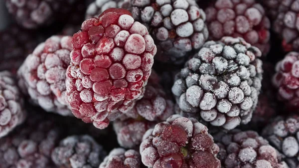 Comida Congelada Moras Congeladas Bayas Congeladas Primer Plano Blackberry Congelado —  Fotos de Stock