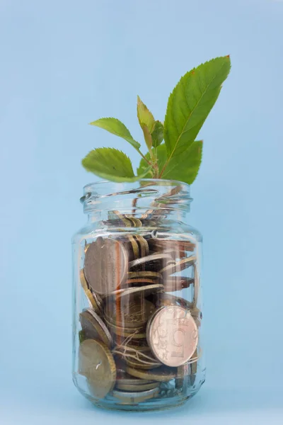 oins inside a glass jar with a small green plant sprouting to represent investment or wealth.The concept of saving and increasing cash savings. exchange rate and investment growth concept.