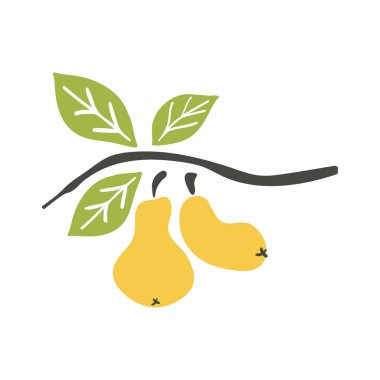 Kahvaltıda armut. Sarı meyveler tek parça ve yapraklar. çizgi film karalama El çizilmiş vektör çizimi