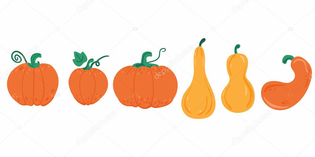 Pumpkin set. Orange and yellow pumpkins of various shapes and sizes. Autumn vegetable harvest. For halloween and thanksgiving day design. Flat vector doodle cartoon single elements