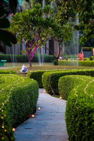 a zigzag garden pathway with dense shrubs on either side