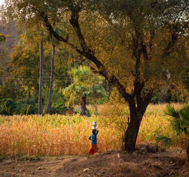 ALIRAJPUR, MADHYA PRADESH, İNDİYA, 15 Mart 2022: Hindistan bhil kabile halkı sabah köylerinde