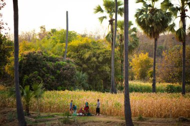 ALIRAJPUR, MADHYA PRADESH, İNDİYA, 15 Mart 2022: Hindistan bhil kabile halkı sabah köylerinde