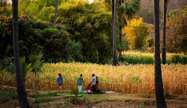 ALIRAJPUR, MADHYA PRADESH, İNDİYA, 15 Mart 2022: Hindistan bhil kabile halkı sabah köylerinde