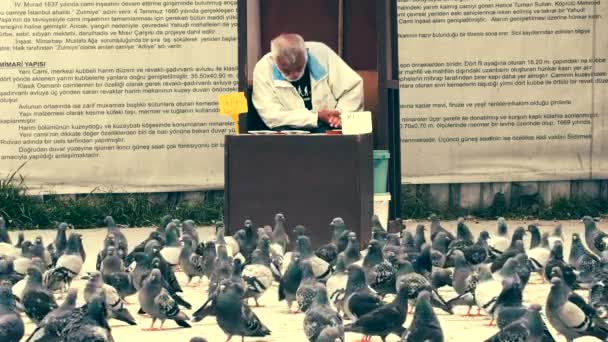 Oude man verkoopt zaden voor de vogels in Istanbul Slow Motion — Stockvideo