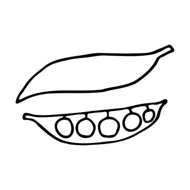 Bezelyeli bezelye kabuğu. El çizimi karalama ikonu. Beyaz arka planda şeffaf izole edilmiş. Tebrik kartları, posterler, yamalar, giysiler ve amblemler için vektör illüstrasyonuName.