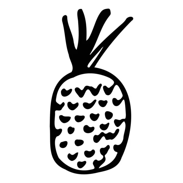 Ananas. El çizimi karalama ikonu. Beyaz arka planda şeffaf izole edilmiş. Tebrik kartları, posterler, yamalar, giysiler ve amblemler için vektör illüstrasyonuName.