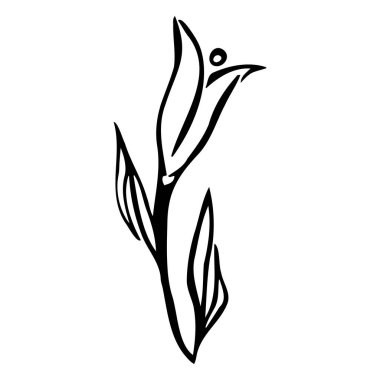 El çizimi şekillendirilmiş çiçek. Contour eskizi. Beyaz arkaplanda vektör çizimi izole edildi. Kartlar, afişler, posterler, baskılar, amblemler için dekorasyon.