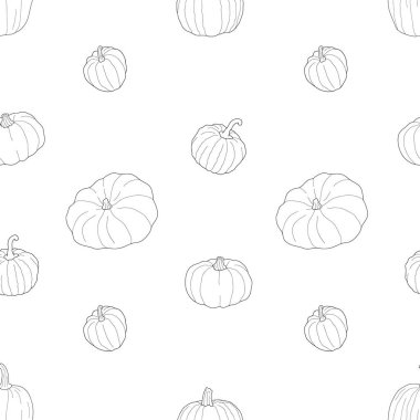 Kabak şeffaf, pürüzsüz desen. Beyaz arkaplanda vektör çizimi izole edildi. Sağlıklı vejetaryen yemekleri. Doodle tarzı. Tebrik kartları, posterler, yamalar, giysiler için baskılar, amblemler için dekorasyon.