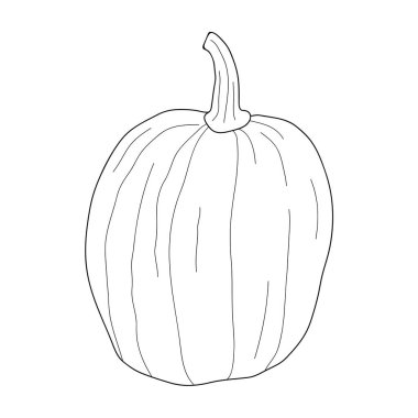 Beyaz arkaplanda izole edilmiş kabak şeffaf vektör çizimi. Sağlıklı vejetaryen yemekleri. Doodle tarzı. Tebrik kartları, posterler, yamalar, giysiler için baskılar, amblemler için dekorasyon.