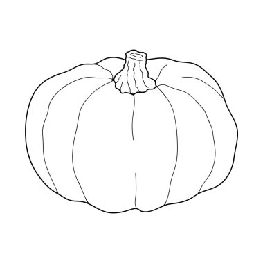 Beyaz arkaplanda izole edilmiş kabak şeffaf vektör çizimi. Sağlıklı vejetaryen yemekleri. Doodle tarzı. Tebrik kartları, posterler, yamalar, giysiler için baskılar, amblemler için dekorasyon.