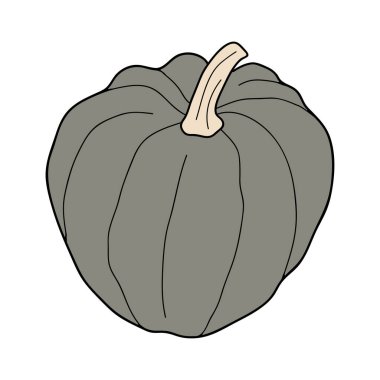 Beyaz arkaplanda izole edilmiş kabak renkli vektör çizimi. Sağlıklı vejetaryen yemekleri. Doodle tarzı. Tebrik kartları, posterler, yamalar, giysiler için baskılar, amblemler için dekorasyon.
