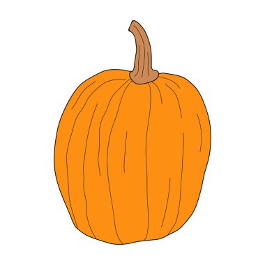 Beyaz arkaplanda izole edilmiş kabak renkli vektör çizimi. Sağlıklı vejetaryen yemekleri. Doodle tarzı. Tebrik kartları, posterler, yamalar, giysiler için baskılar, amblemler için dekorasyon.
