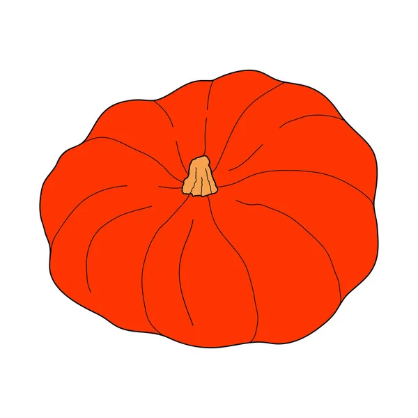 Illustration Vectorielle Colorée Citrouille Isolée Sur Fond Blanc Nourriture Végétarienne — Image vectorielle