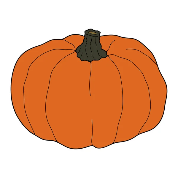 Pumpkin Barevné Vektorové Ilustrace Izolované Bílém Pozadí Zdravé Vegetariánské Jídlo — Stockový vektor