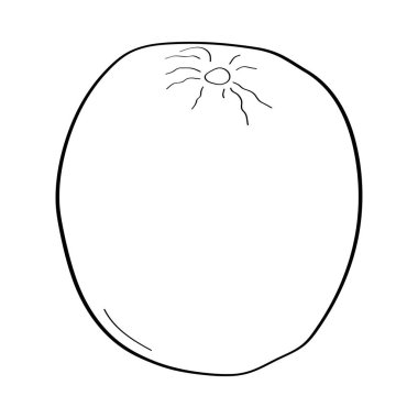 Turuncu. El çizimi karalama ikonu. Beyaz arkaplanda izole edilmiş siyah-beyaz vektör çizimi. Tebrik kartları, posterler, yamalar, giysiler için baskılar, amblemler için dekorasyon.