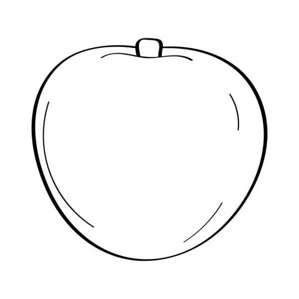 Manzana Icono Garabato Dibujado Mano Ilustración Vectorial Blanco Negro Aislada — Archivo Imágenes Vectoriales