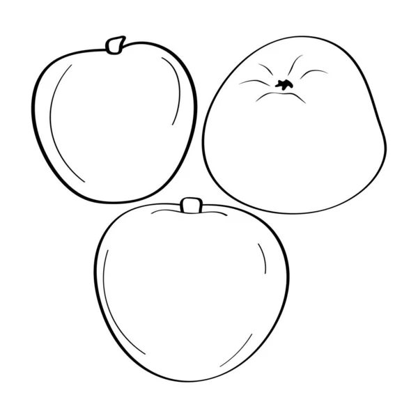 Apel Ikon Corat Coret Tangan Ilustrasi Hitam Dan Putih Vektor - Stok Vektor