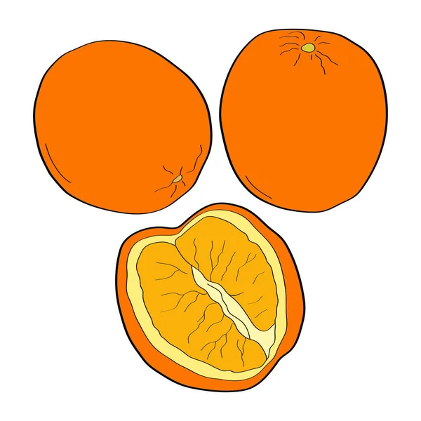 Orange Icône Gribouillée Dessinée Main Illustration Vectorielle Colorée Isolée Sur — Image vectorielle