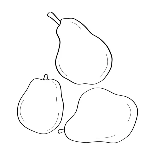 Pear Hand Drawn Doodle Icon Vector Black White Illustration Isolated — Stock Vector