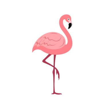 Beyaz arka plan üzerinde düz stilde flamingolar. 