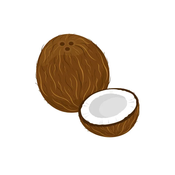 Kokosové izolované na bílém pozadí. — Stockový vektor