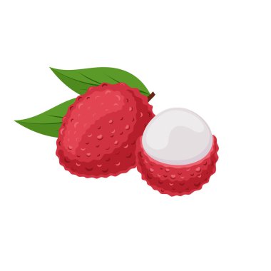 Beyaz arka plan üzerinde Lychee meyve. Düz stil tropikal meyve. 
