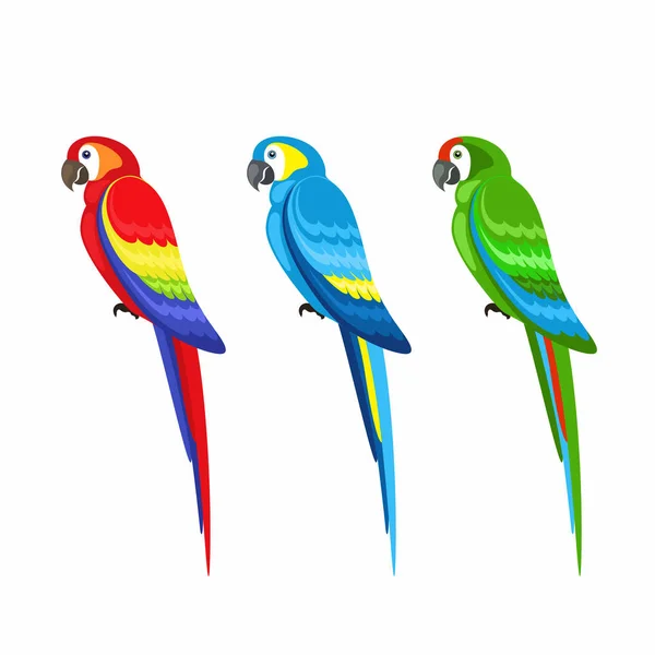 Beyaz Bir Arka Plan Üzerinde Renkli Papağan Seti Vektör Çizimi — Stok Vektör