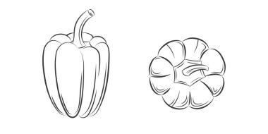 Beyaz arka planda izole edilmiş biber rengi oyma. Poster, etiket, menü ve web için vektör el çizimi. Organik gıda, sos, bulaşık bileşeni. Yukarıdan görüntüle.