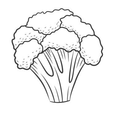 Beyaz arkaplana işlenmiş brokoli.