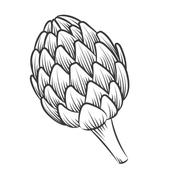 Ilustrasi gaya engravir artichoke - Stok Vektor
