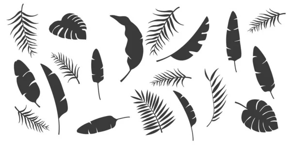 Feuilles tropicales silhouettes ensemble vectoriel — Image vectorielle