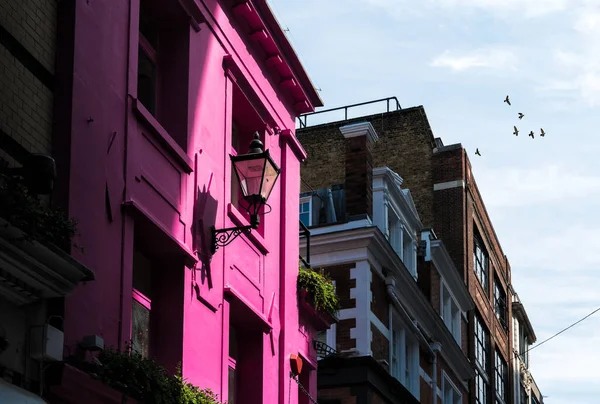 Glowing Pink Colour House Sunlight Urban Setting London — Stock fotografie