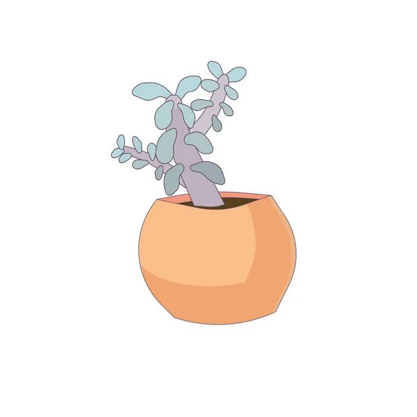 Pflanze Crassula Einem Keramiktopf Auf Weißem Isoliertem Hintergrund Vektorstockillustration Cartoon — Stockvektor