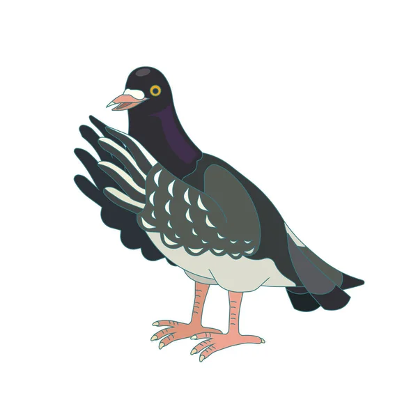 Pigeon Roche Sur Fond Blanc Isolé Illustration Vectorielle Dessin Animé — Image vectorielle