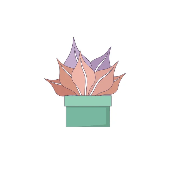 Plante Feuilletée Croton Dans Pot Céramique Sur Fond Blanc Isolé — Image vectorielle